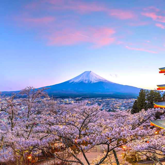 Scenic cherry blossom spring escapes 을 위한 여행 영감 - Daytrip 의 개인 일일 여행