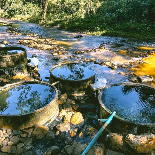 Chiang Mai to Chiang Dao Hot Springs: Private day trip