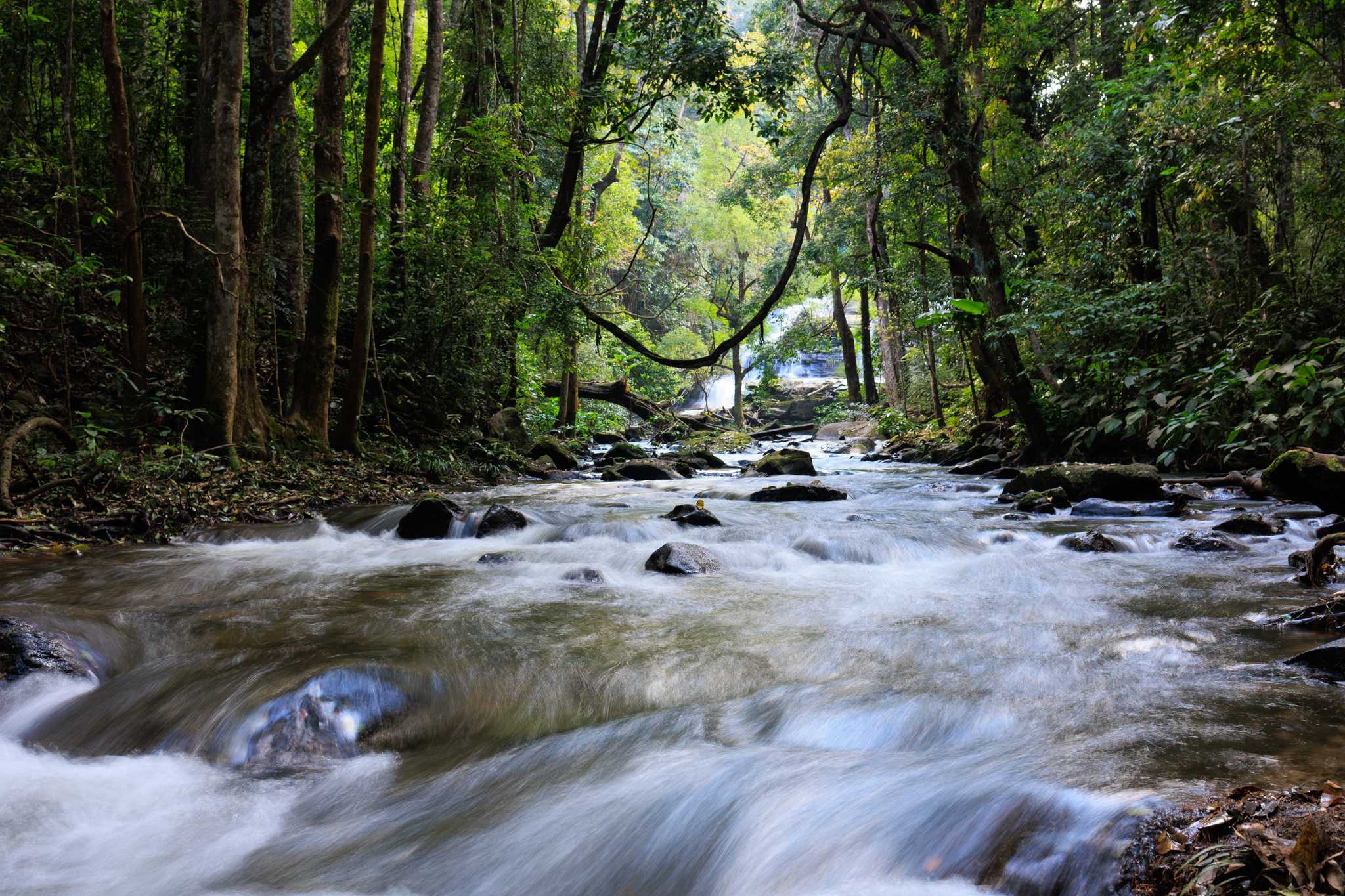Itinerary stop at Chiang Dao Hot Springs on private day trip from Chiang Mai