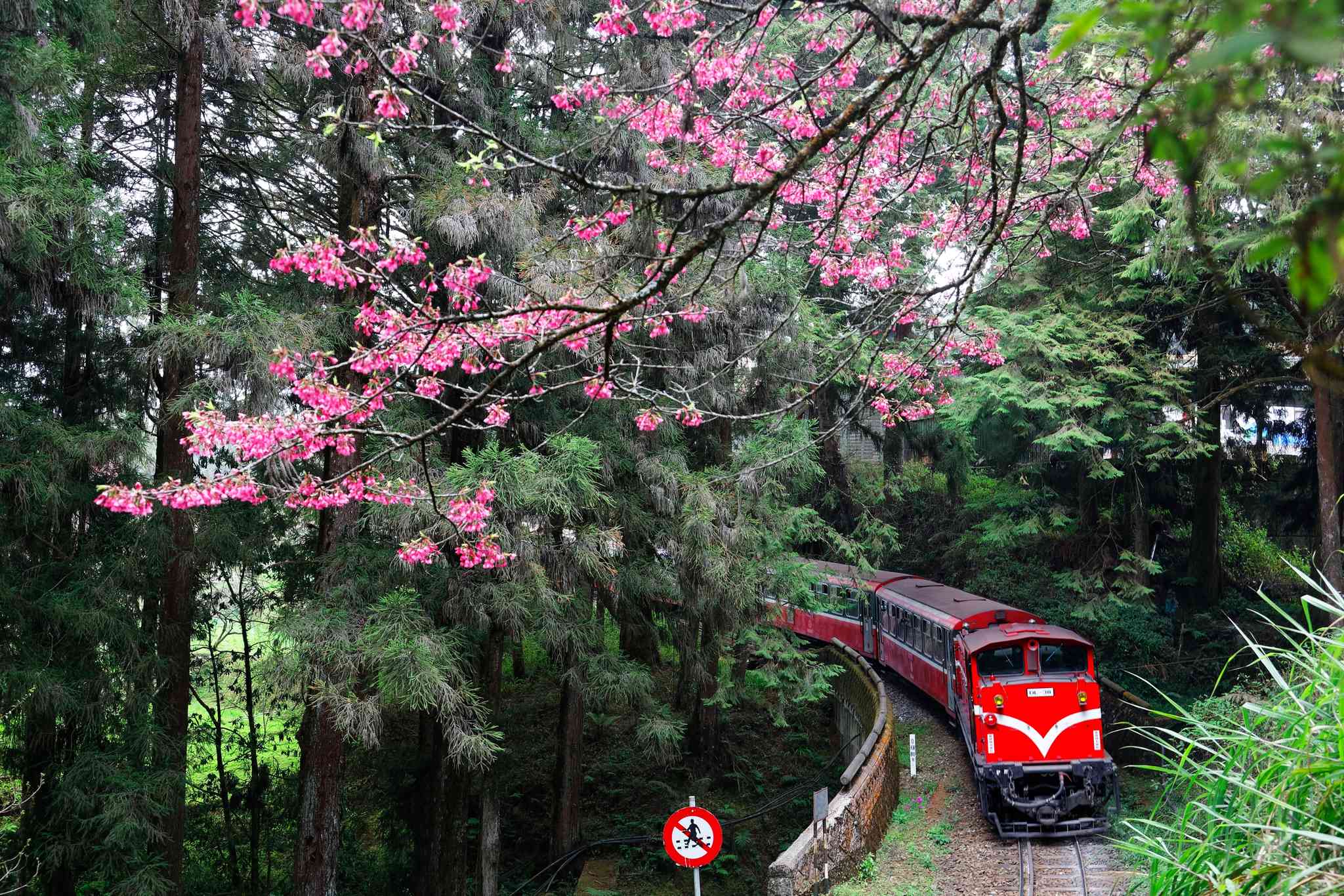 Vue pittoresque de Chiayi - excursion privée d'une journée depuis Taipei - photo 2