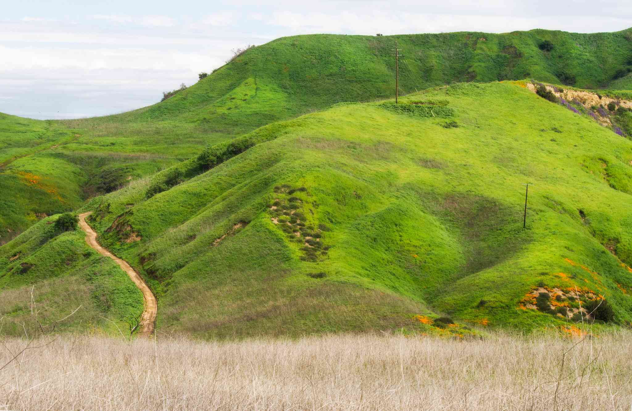 Vue pittoresque de San Diego - excursion privée d'une journée depuis Chino Hills - photo 6