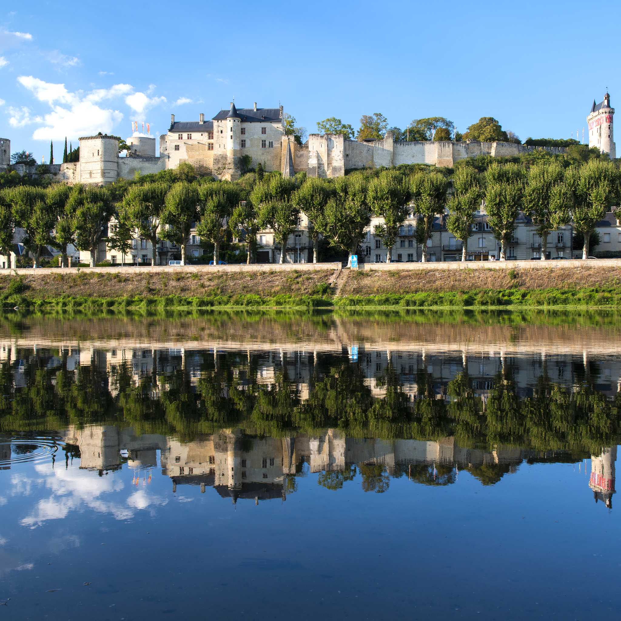 Chinon