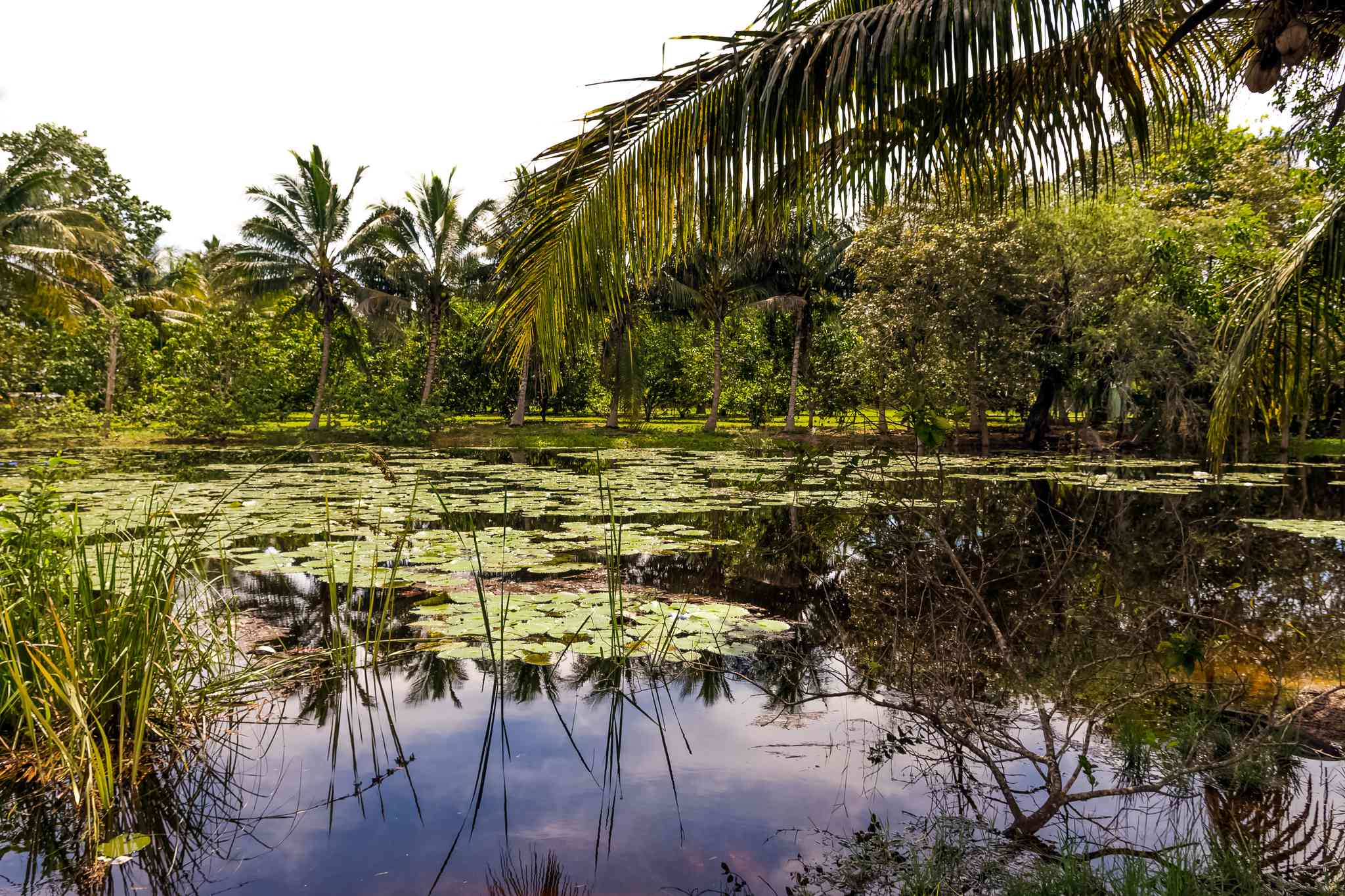 Scenic view of Havana - private day trip from Cienaga de Zapata National Park - photo 6
