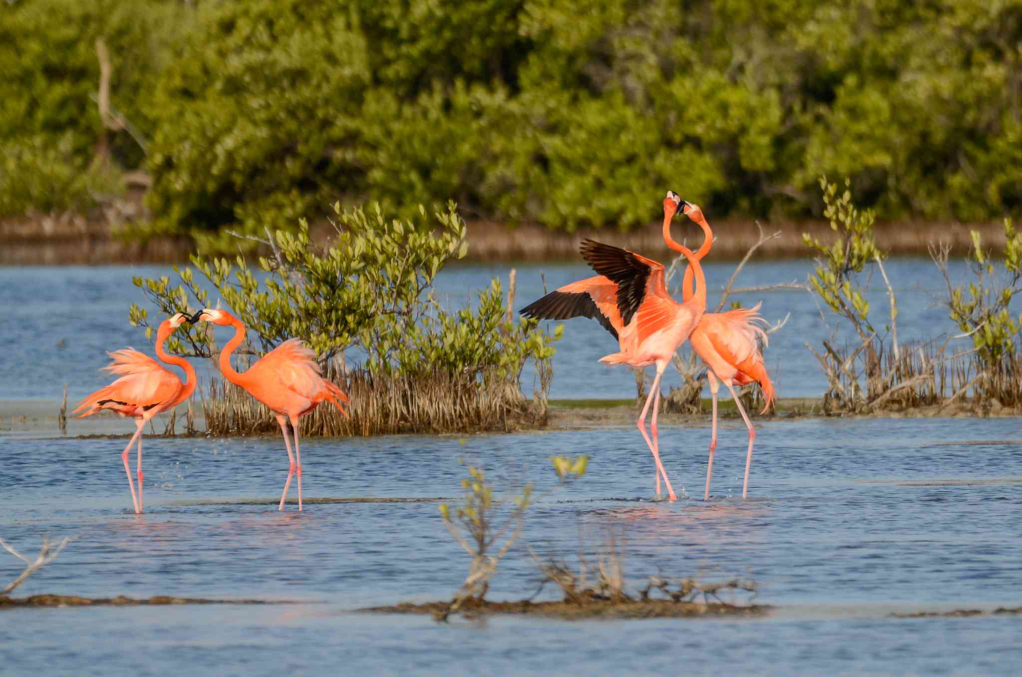 Scenic view of Havana - private day trip from Cienaga de Zapata National Park - photo 7