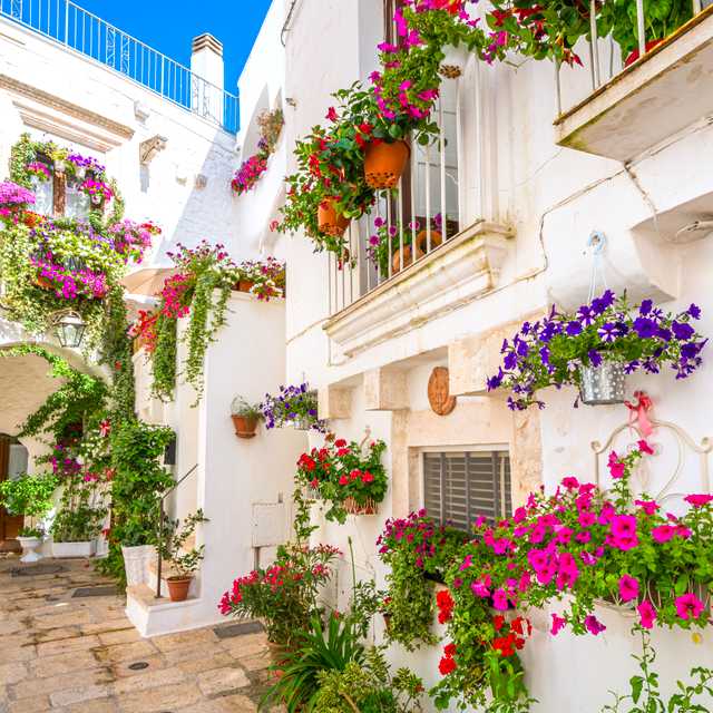 Lecce to Ostuni, Cisternino and Martina Franca: Day trip