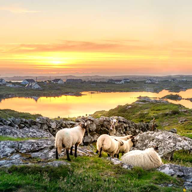 Galway to Clifden and Kylemore Abbey: Private day trip