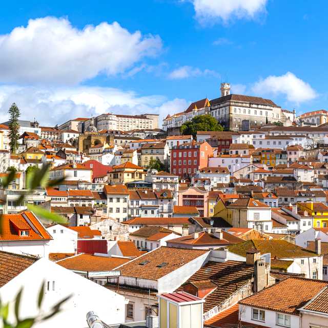 Porto to Aveiro and Coimbra: Private day trip