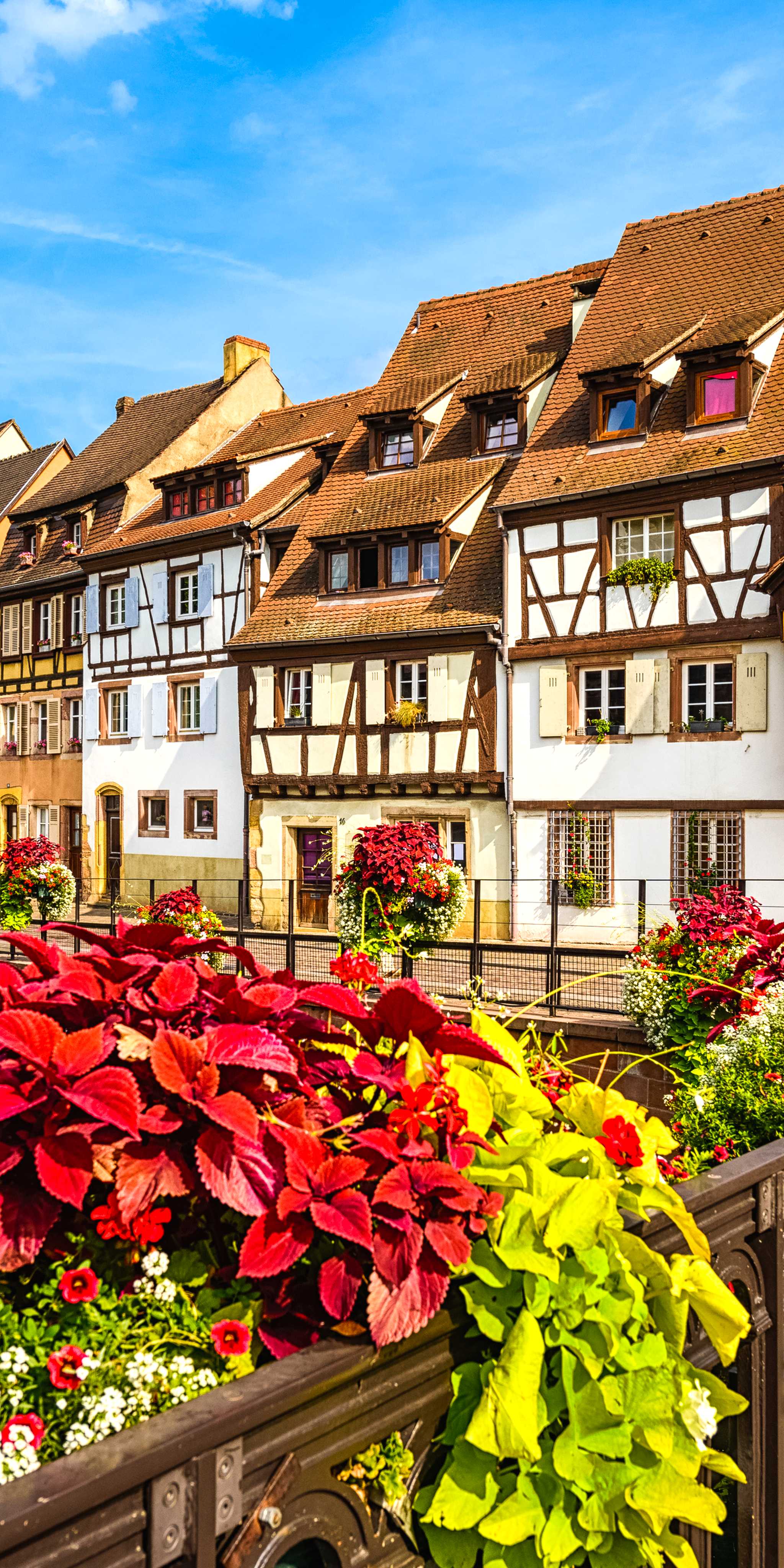Colmar