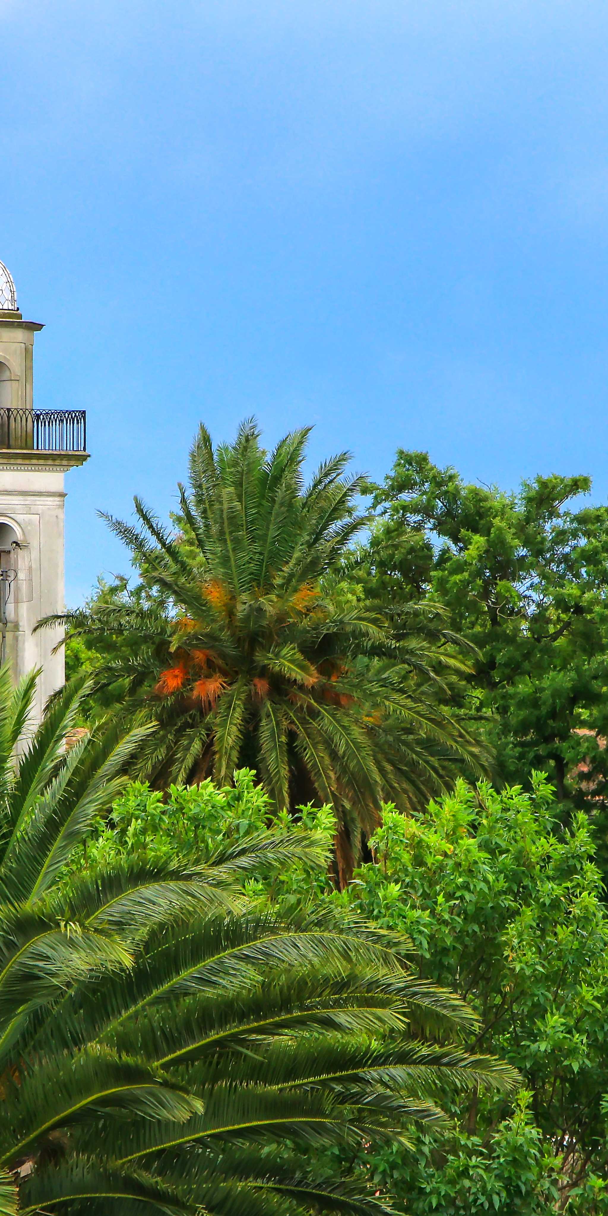 Colônia do Santíssimo Sacramento