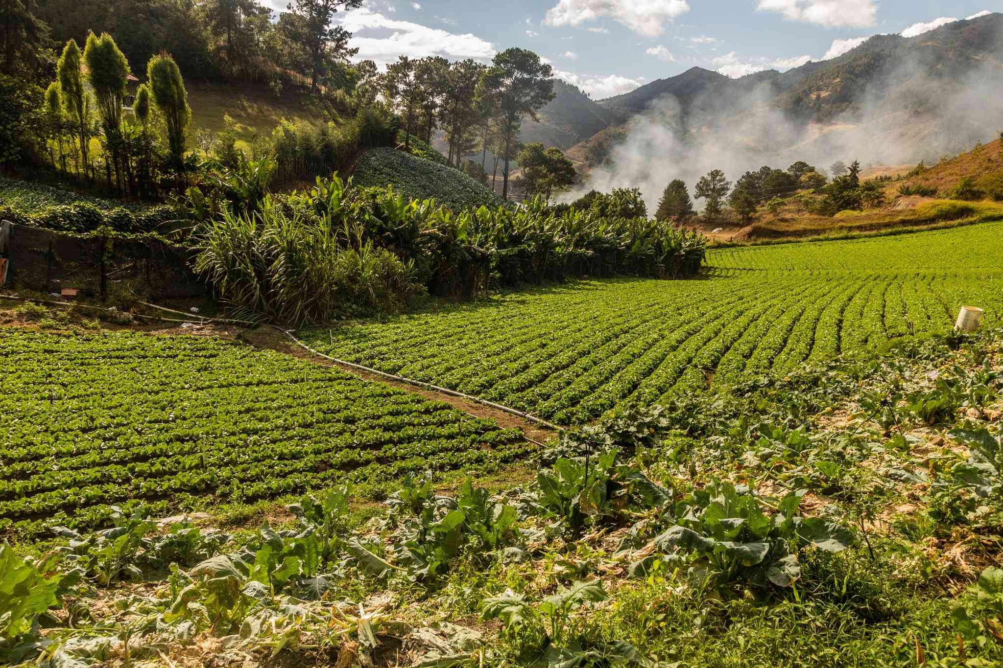 Scenic view of Constanza - private day trip from Santo Domingo - photo 3