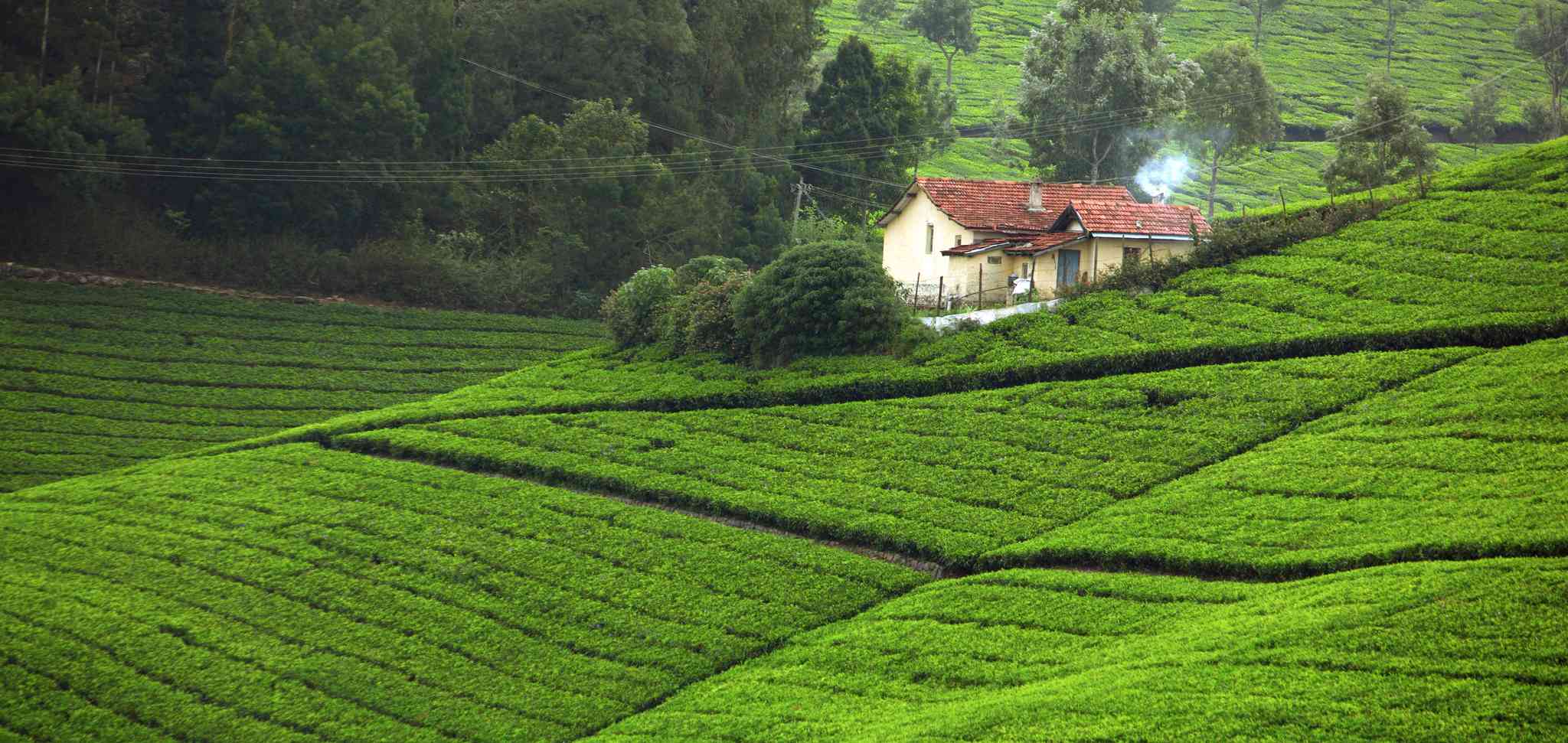 Scenic view of Cochin International Airport - private day trip from Coonoor - photo 7