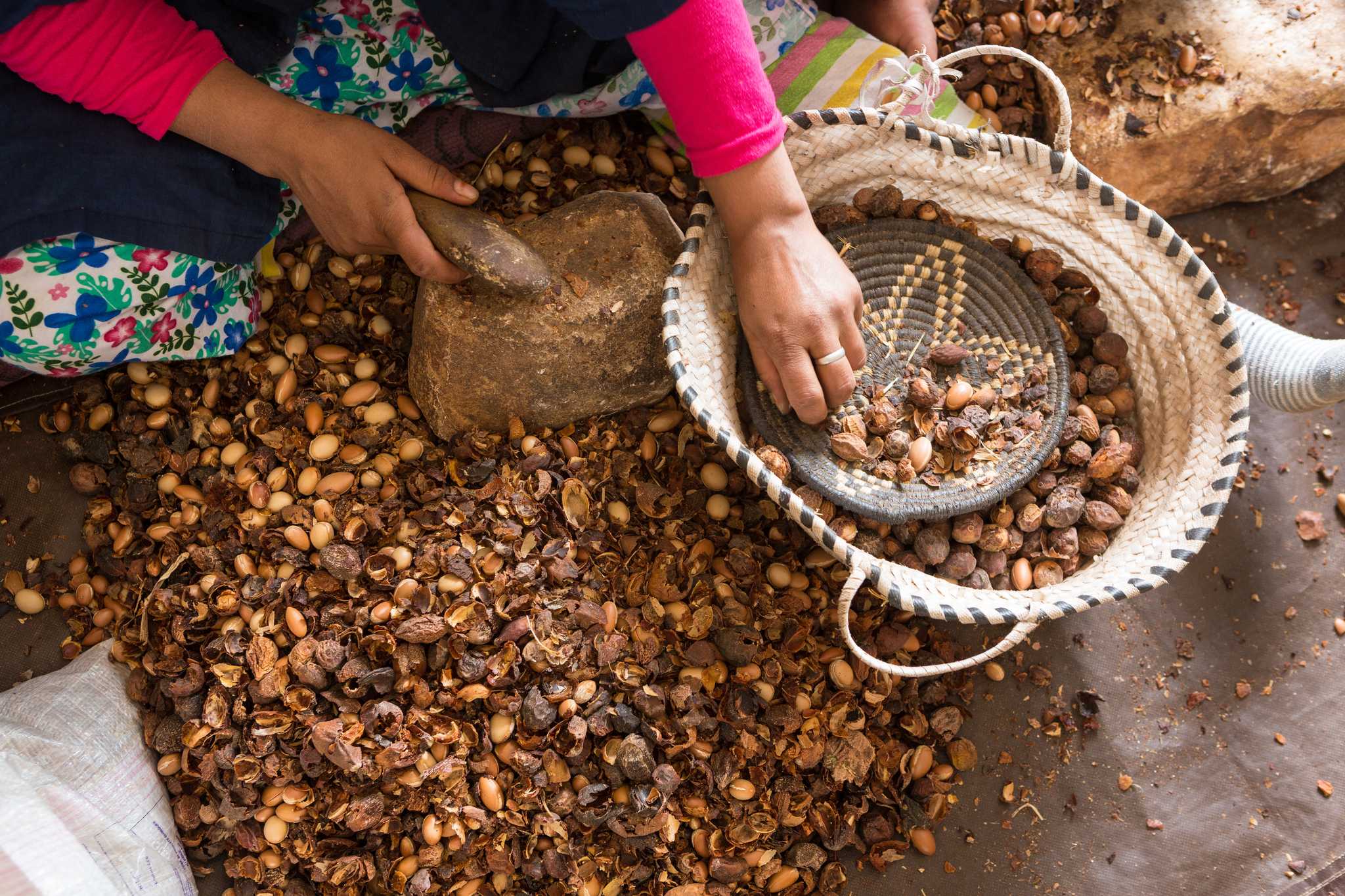 Services de transfert en voiture privée à Coopérative d'Argan Marjana - vue pittoresque sur Coopérative d'Argan Marjana en Maroc