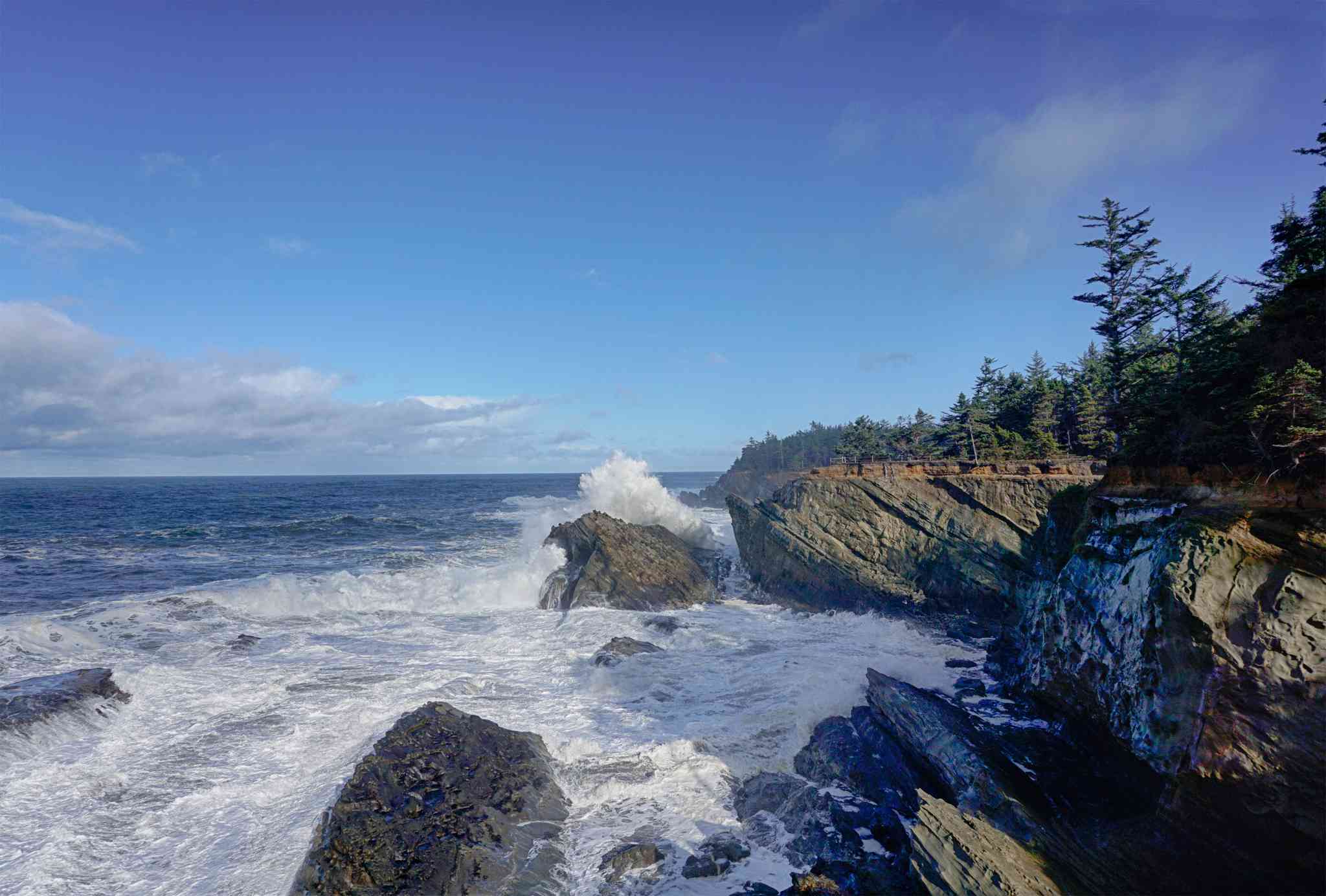 Vista panorámica de Crescent City, CA - excursión privada de un día desde Coos Bay, OR - foto 6
