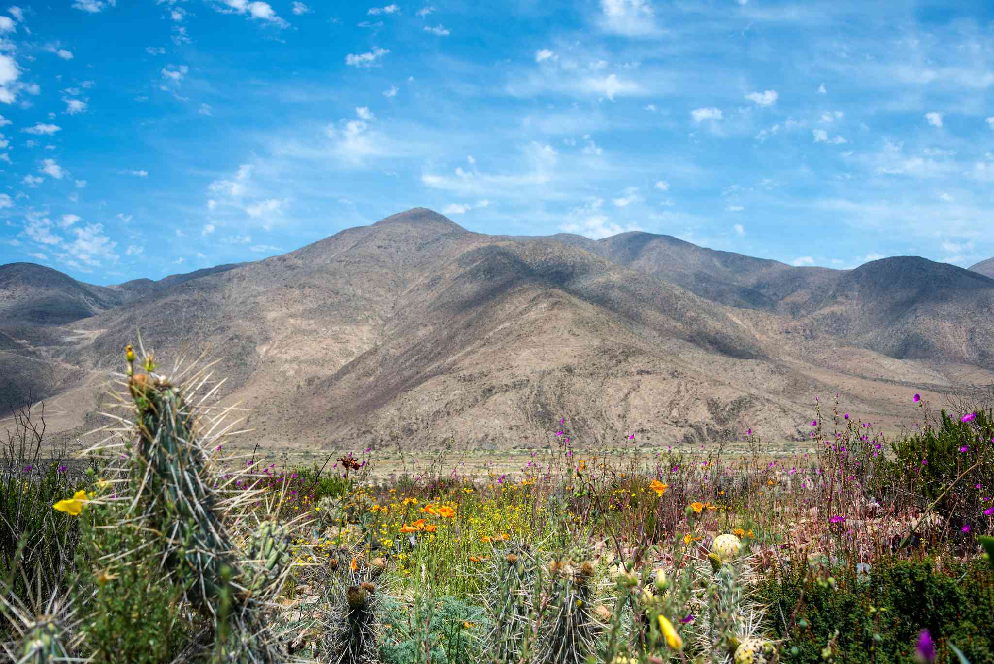 Blick auf die Landschaft von Copiapo - private Tagesreise von La Serena - Foto 3