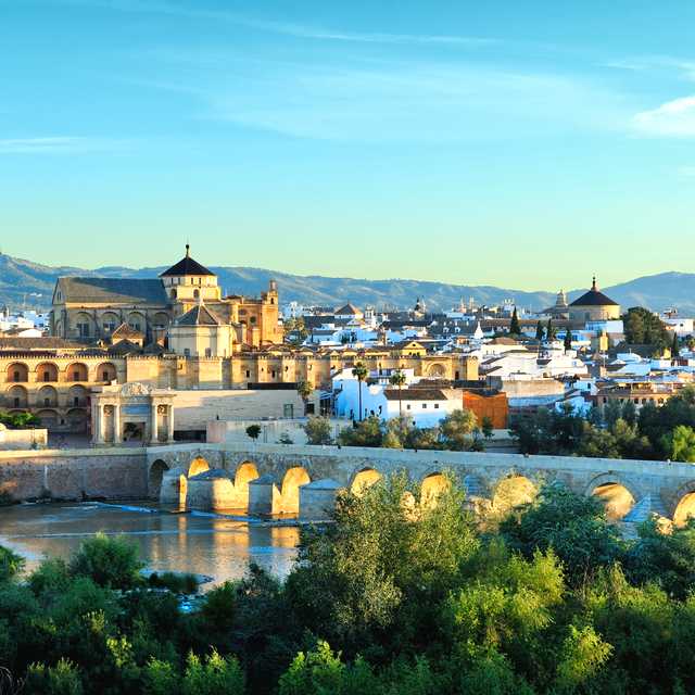Motril to Cordoba: Private day trip