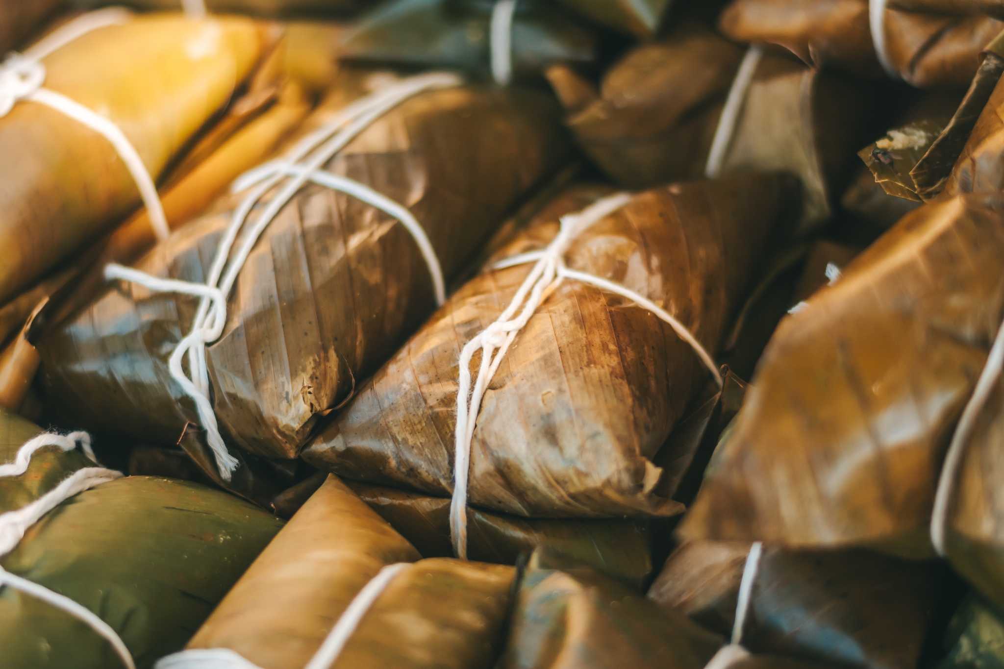 Reiseroute Stop in Parque Reptilandia auf privatem Tagesausflug von San Jose