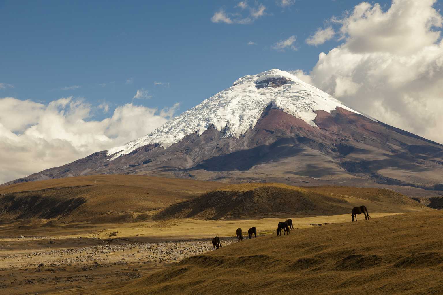 Private Day Trip From Quito To Cotopaxi National Park And Back Private Day Trip From Quito To Cotopaxi National Park And Back
