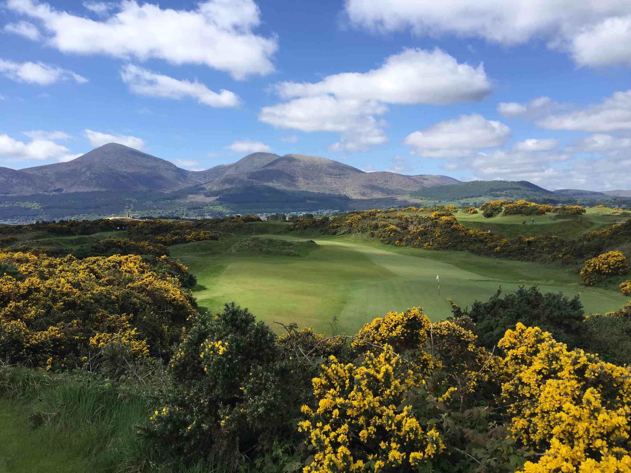Vacker vy över Royal County Down Golf Club - privat dagsutflykt från Belfast - foto 3