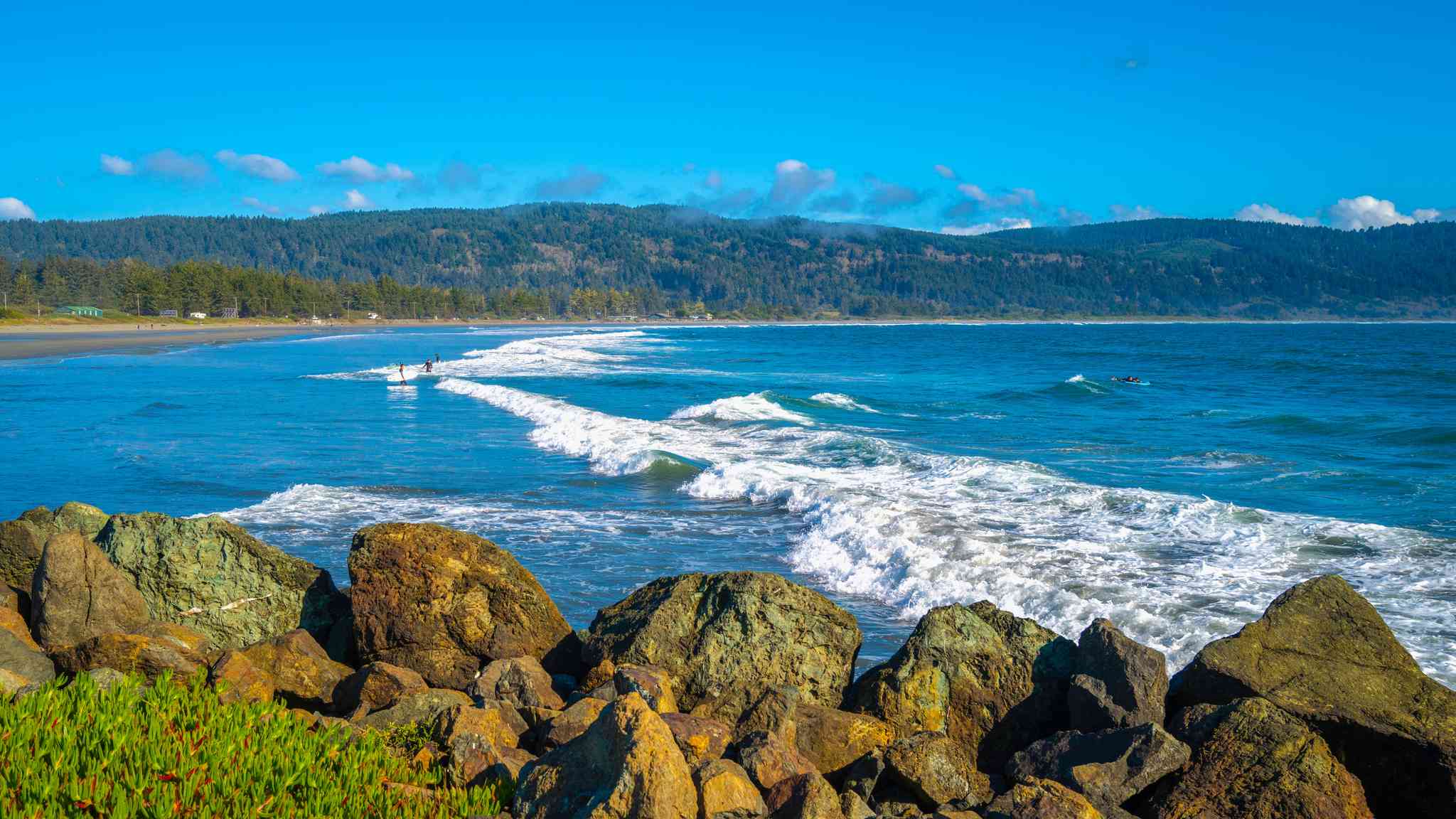 Vista cênica de Crescent City, CA - excursão particular de um dia de Orick, CA - foto 2