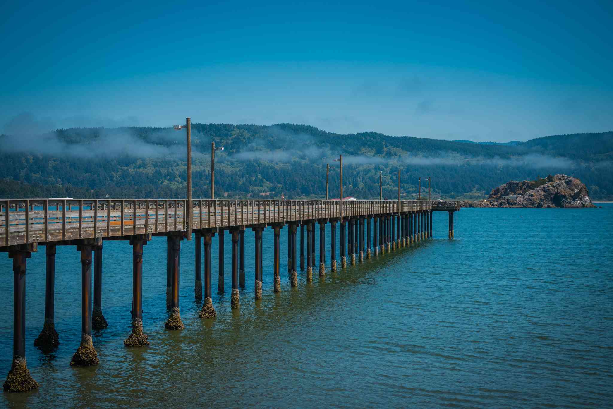 Vista cênica de Crescent City, CA - excursão particular de um dia de Orick, CA - foto 4