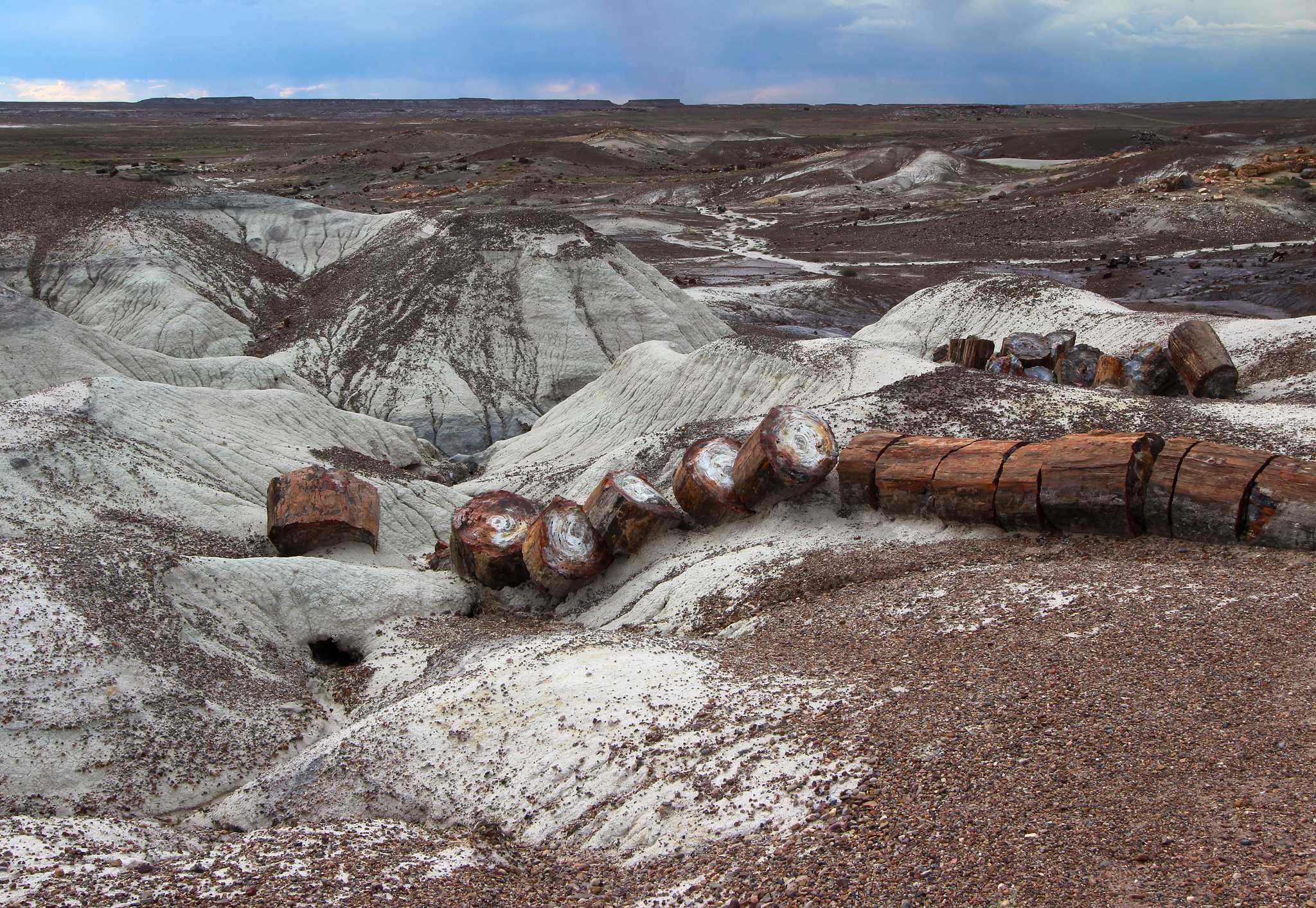 Visit Crystal Forest on the way from phoenix-sky-harbor-international-airport-az-us to albuquerque-nm-us with Daytrip
