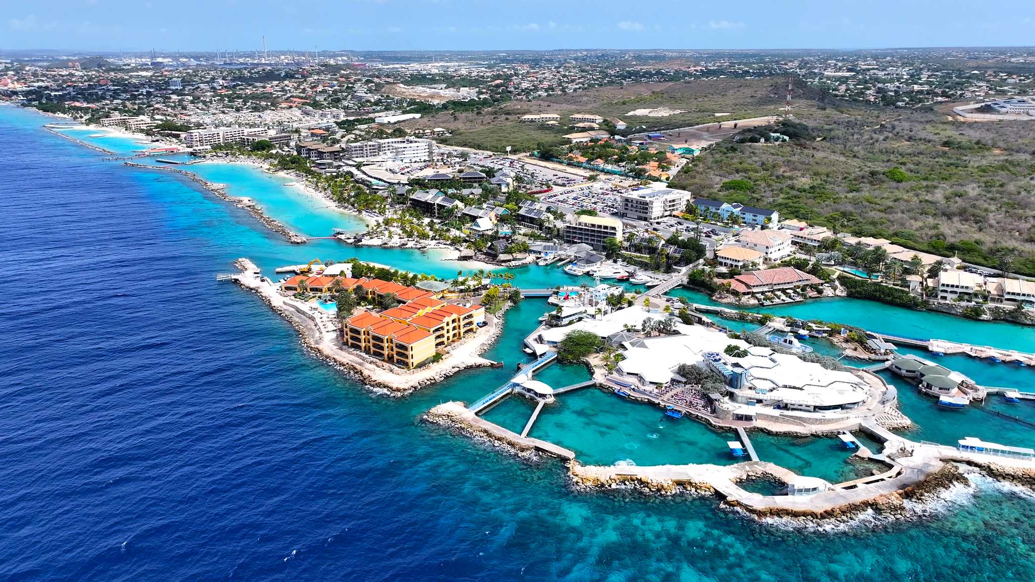 Willemstad to Curacao Aquarium and Dolphin Academy: Day trip