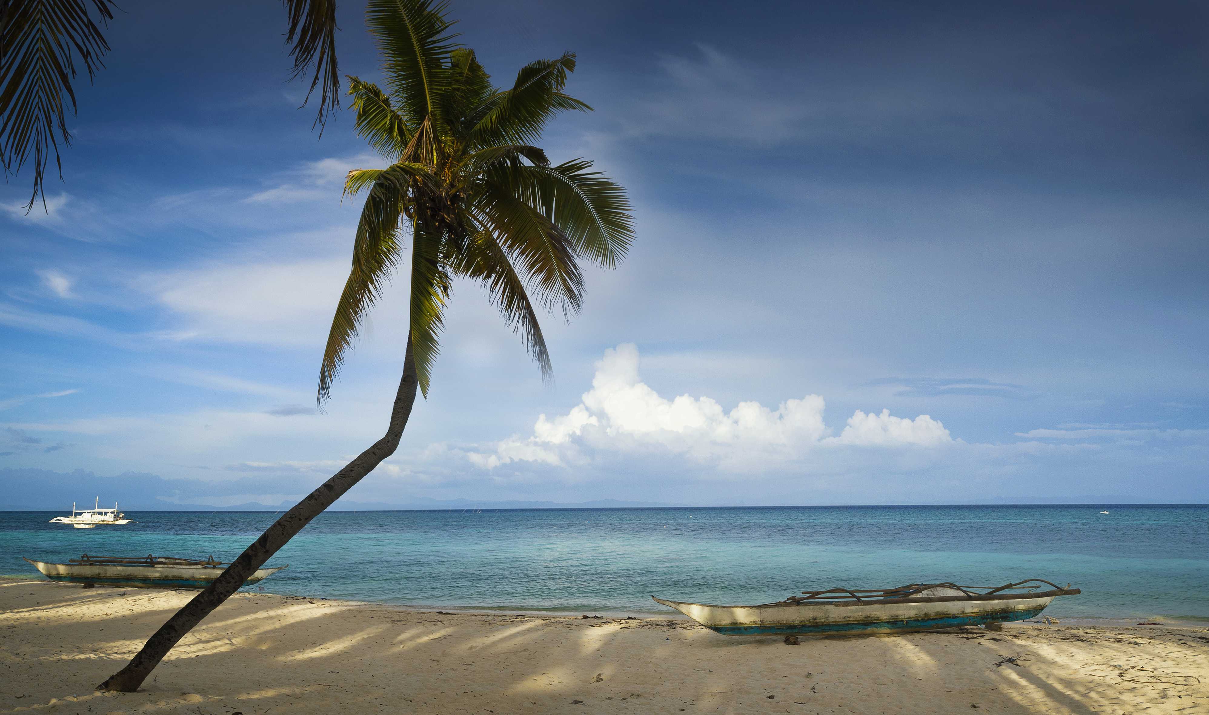 Cebu City to Daanbantayan Private Transfer | Daytrip