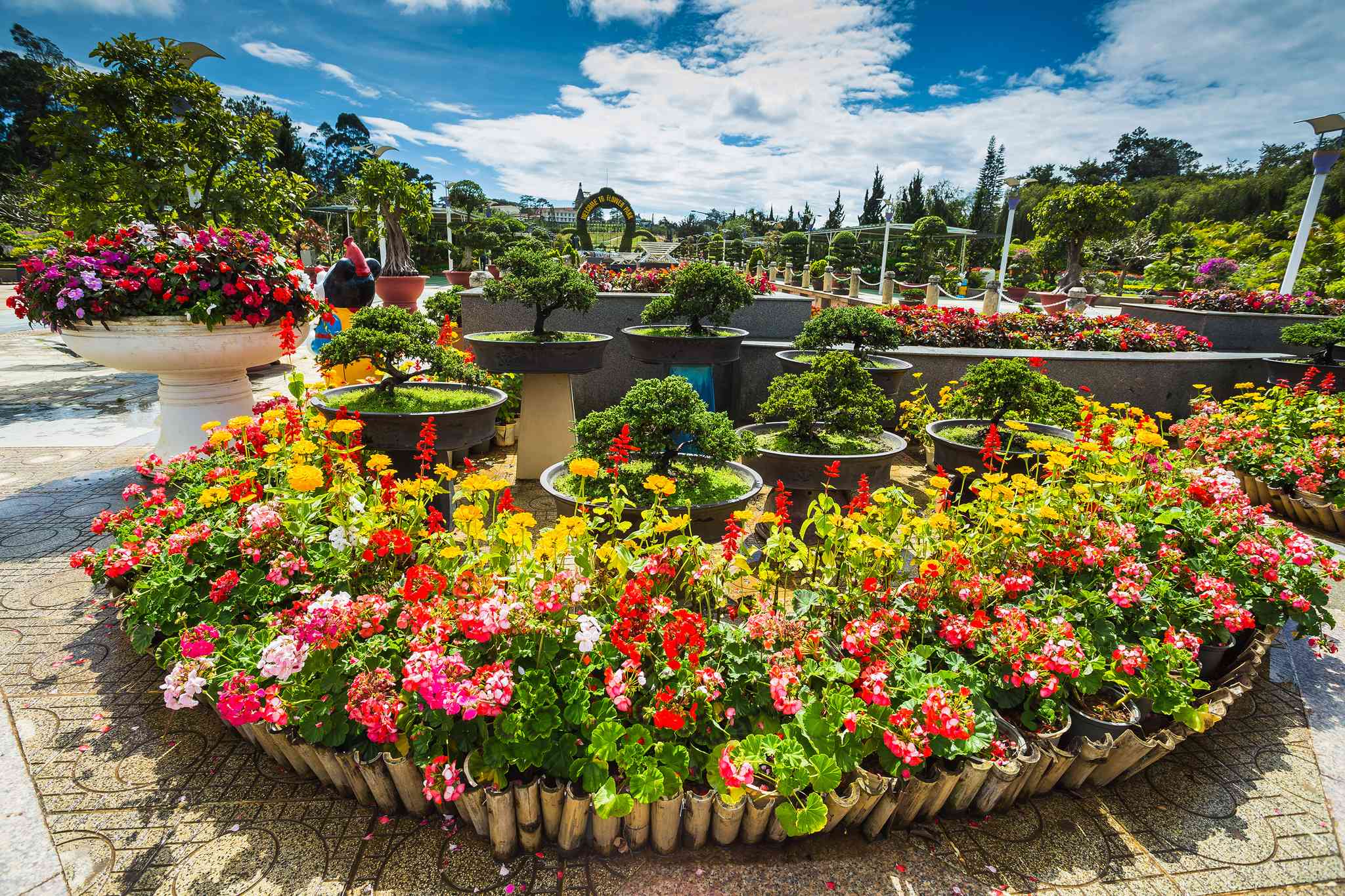Vista panorámica de Dalat - excursión privada de un día desde Ho Chi Minh - foto 3