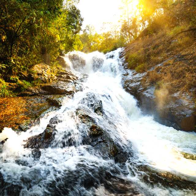 Dalat to Datanla Falls and Linh Phuoc Pagoda: Day trip