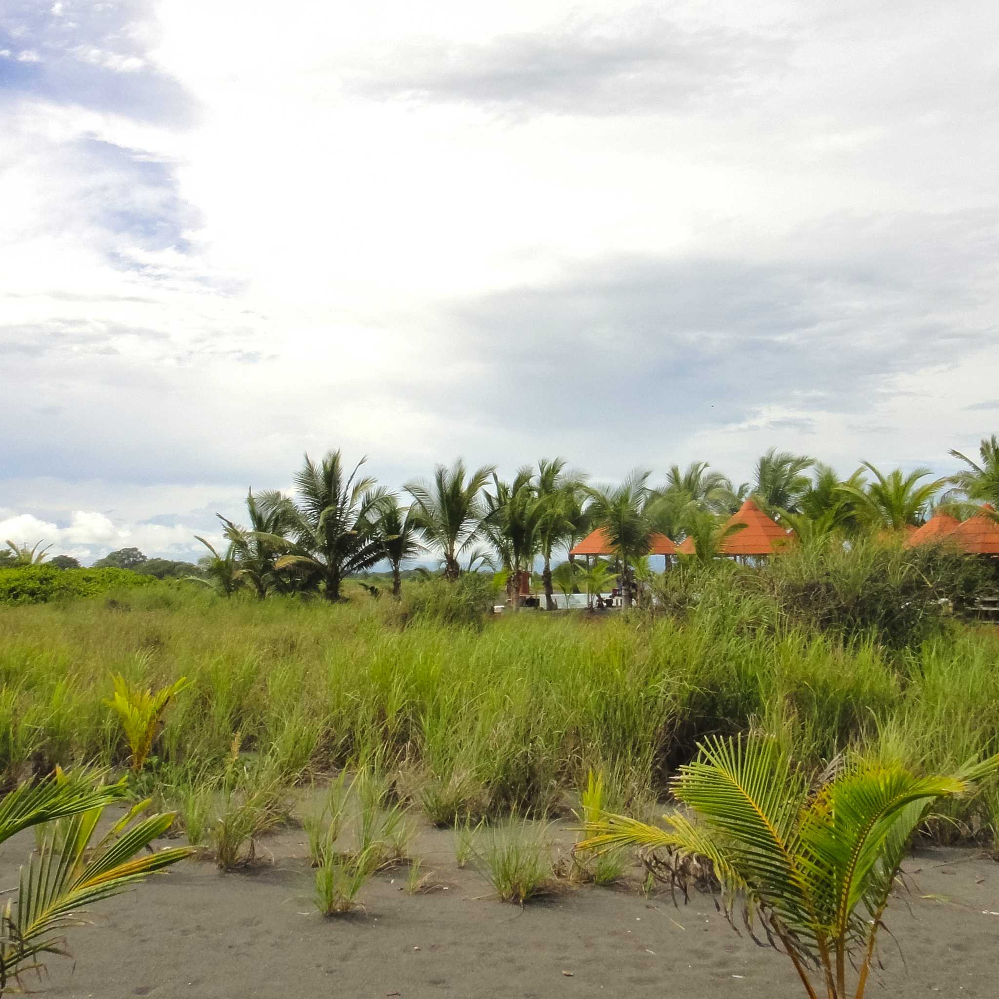 Private car transfers in Panama from David