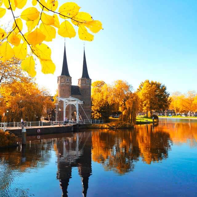 Antwerp to Delft and The Hague: Private day trip