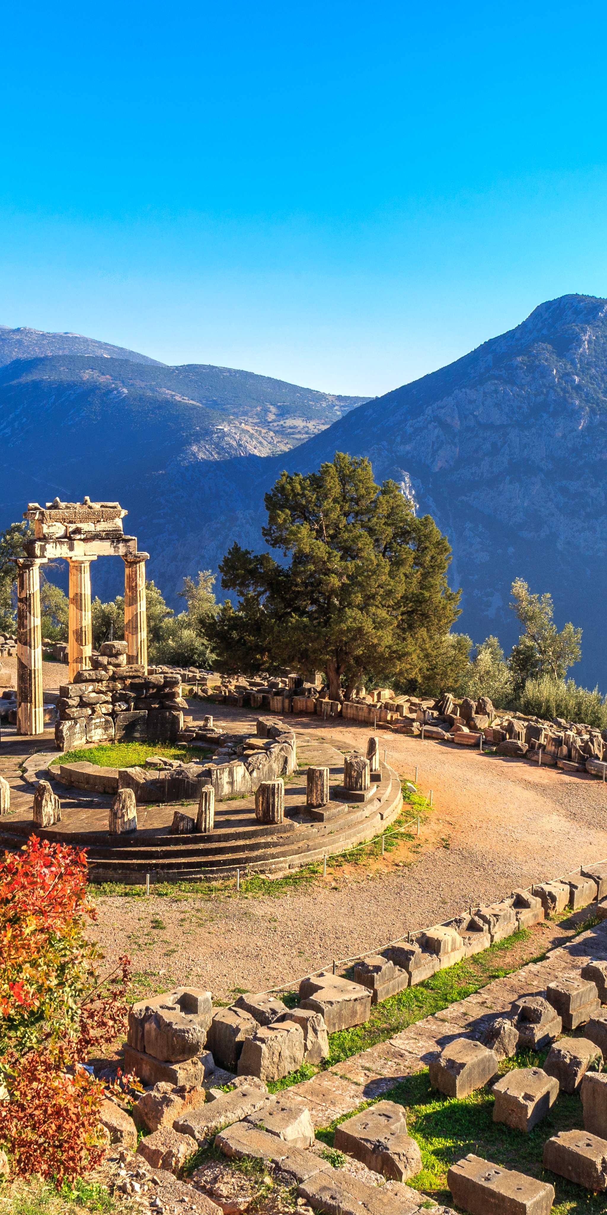 Delphi