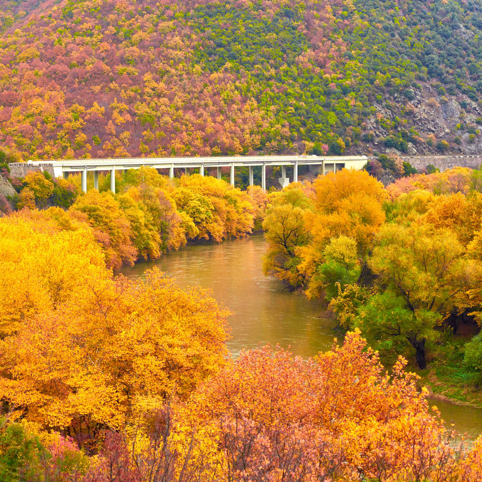 Private car transfers in North Macedonia from Demir Kapija