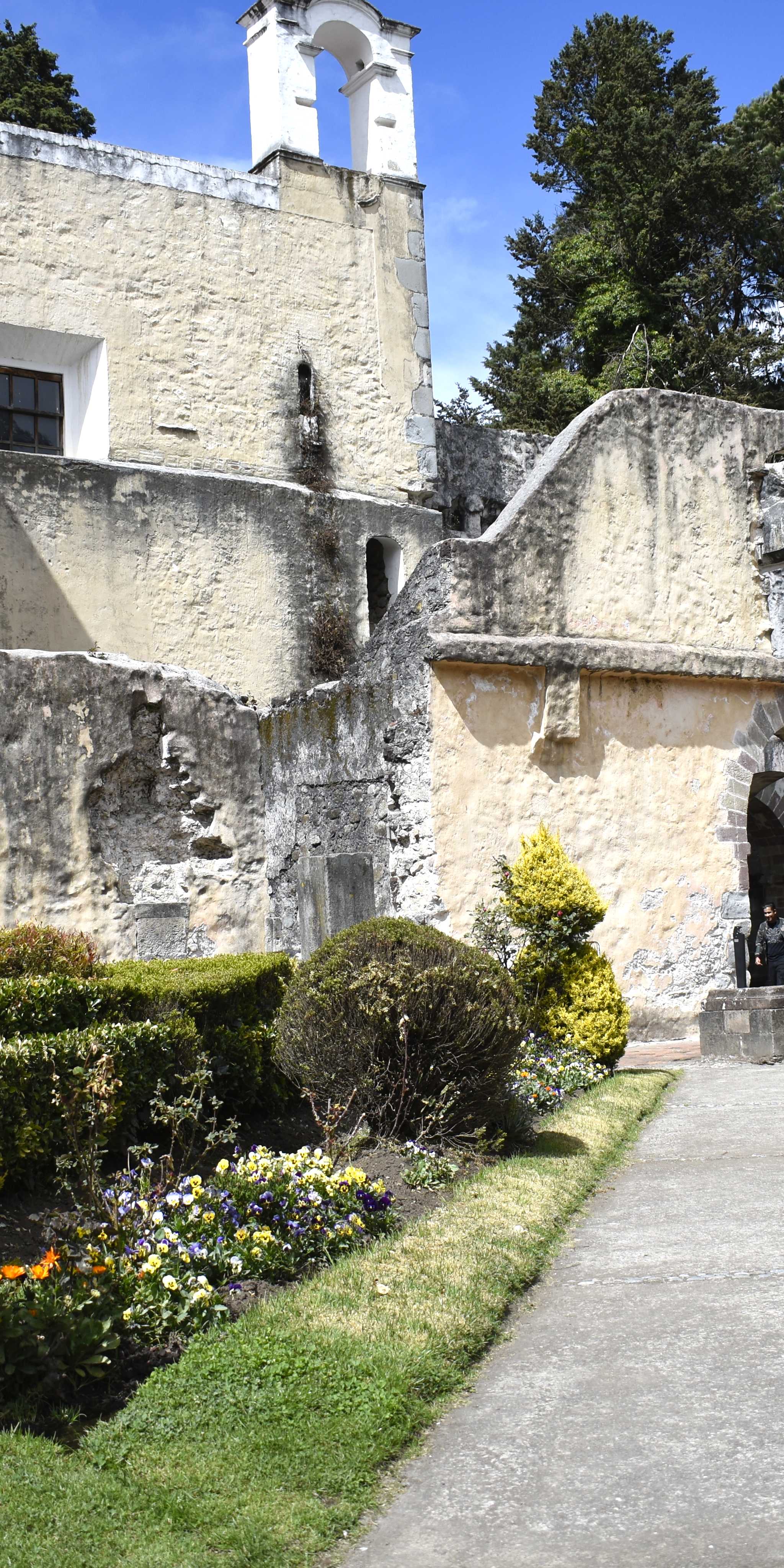 Desierto de los Leones