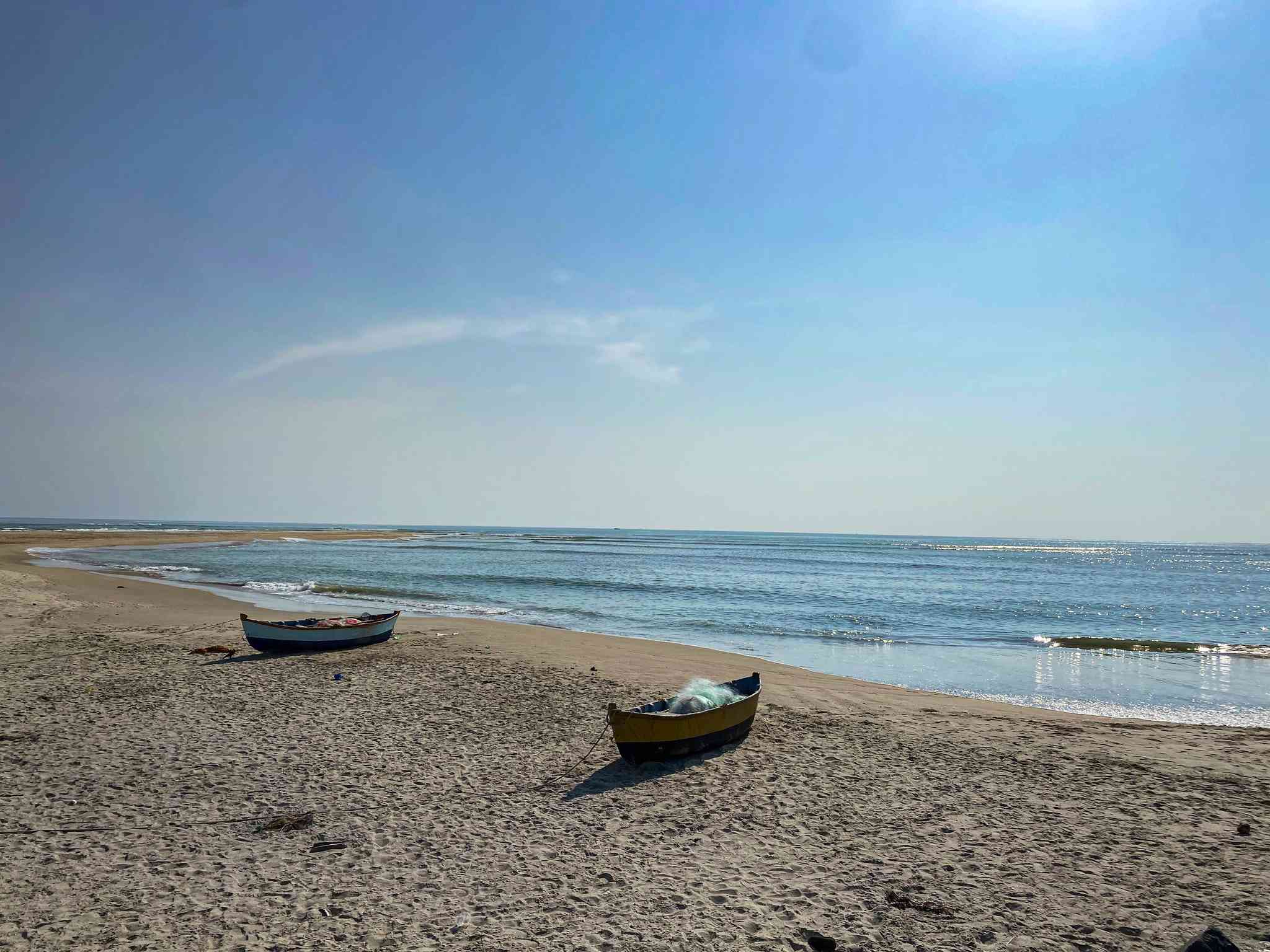 Kochi 의 경치 - Dhanushkodi 에서 출발하는 개인 day trip - 사진 6