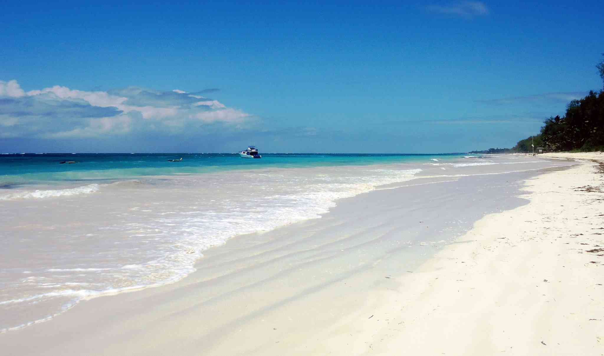 몸바사 의 경치 - Diani Beach 에서 출발하는 개인 day trip - 사진 4