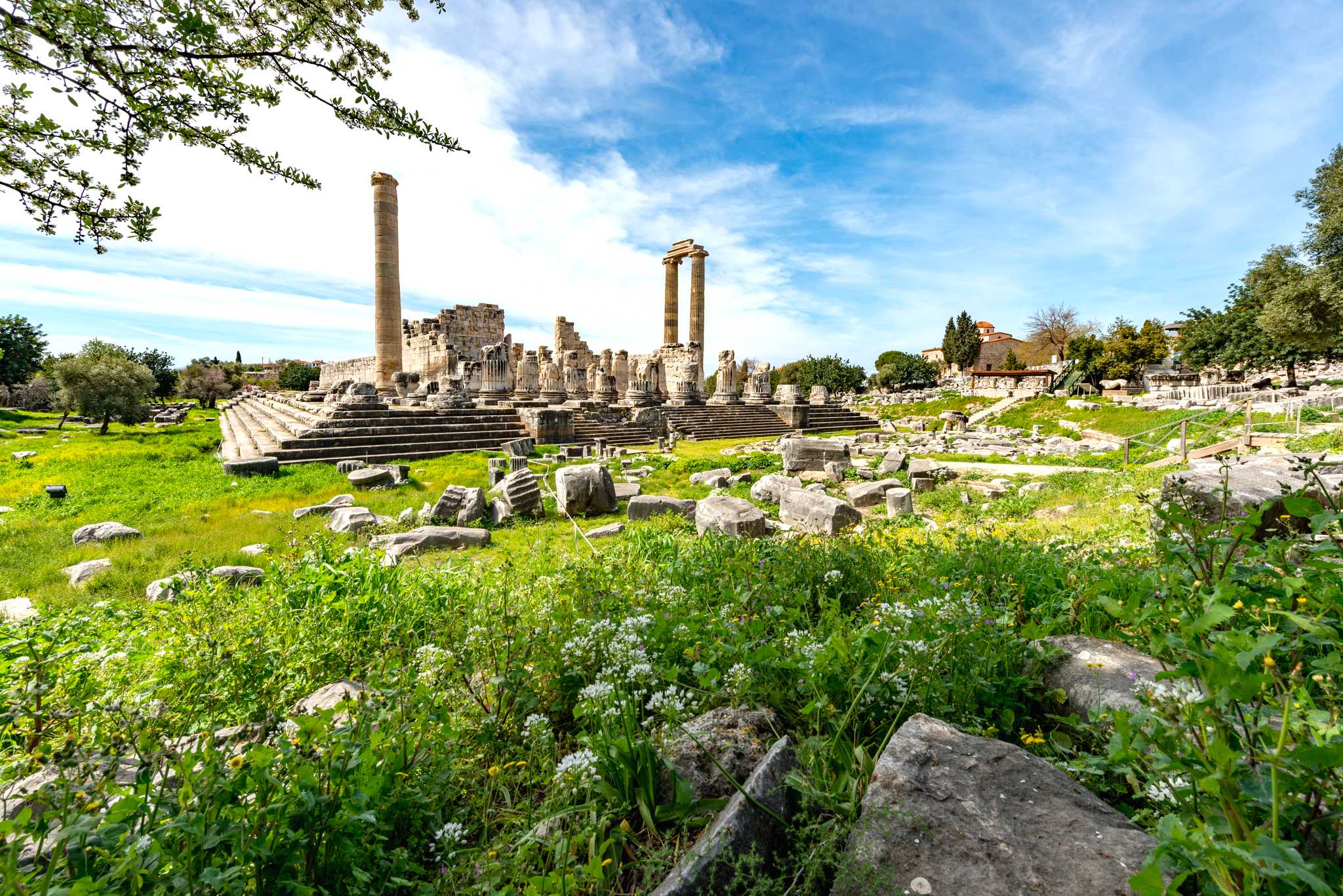 Bodrum to Didim and Magnesia Antik Kenti: Private day trip