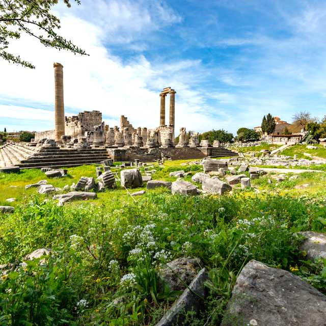 Bodrum to Didim and Magnesia Antik Kenti: Private day trip