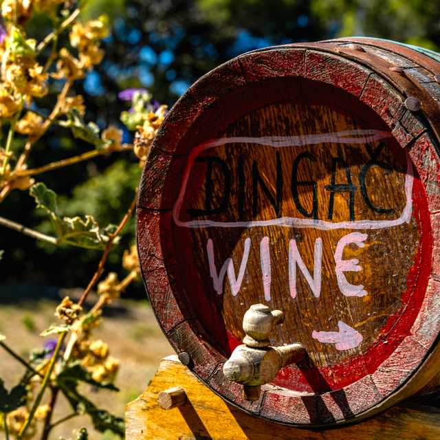 Dubrovnik to Ston, Potomje, and Dingac Vineyards: Day trip