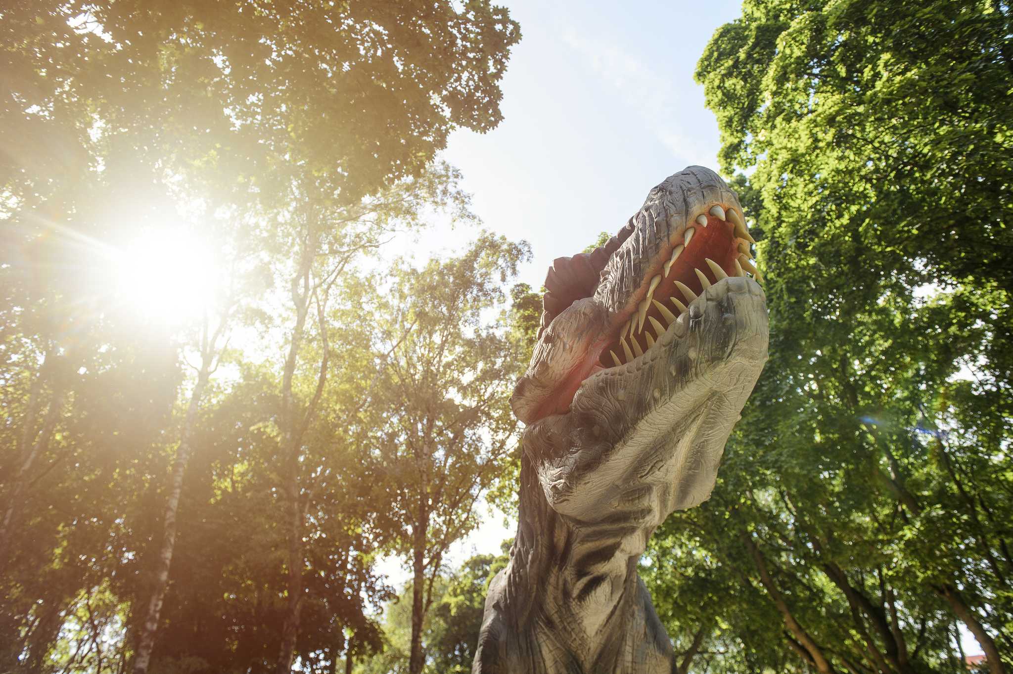 在 从 st-petersburg-fl-us 到 sarasota-fl-us 的途中，参观 Dinosaur World ，通过 Daytrip