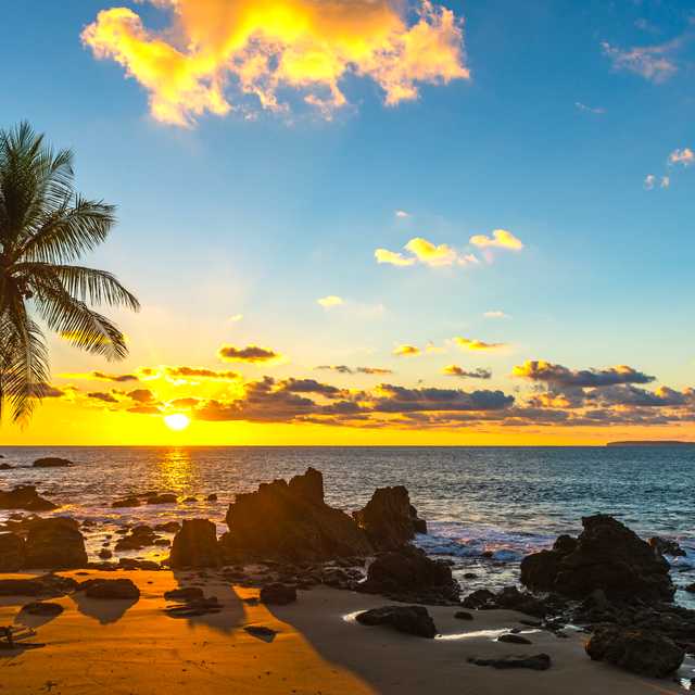 Quepos to Dominical and Uvita: Private day trip