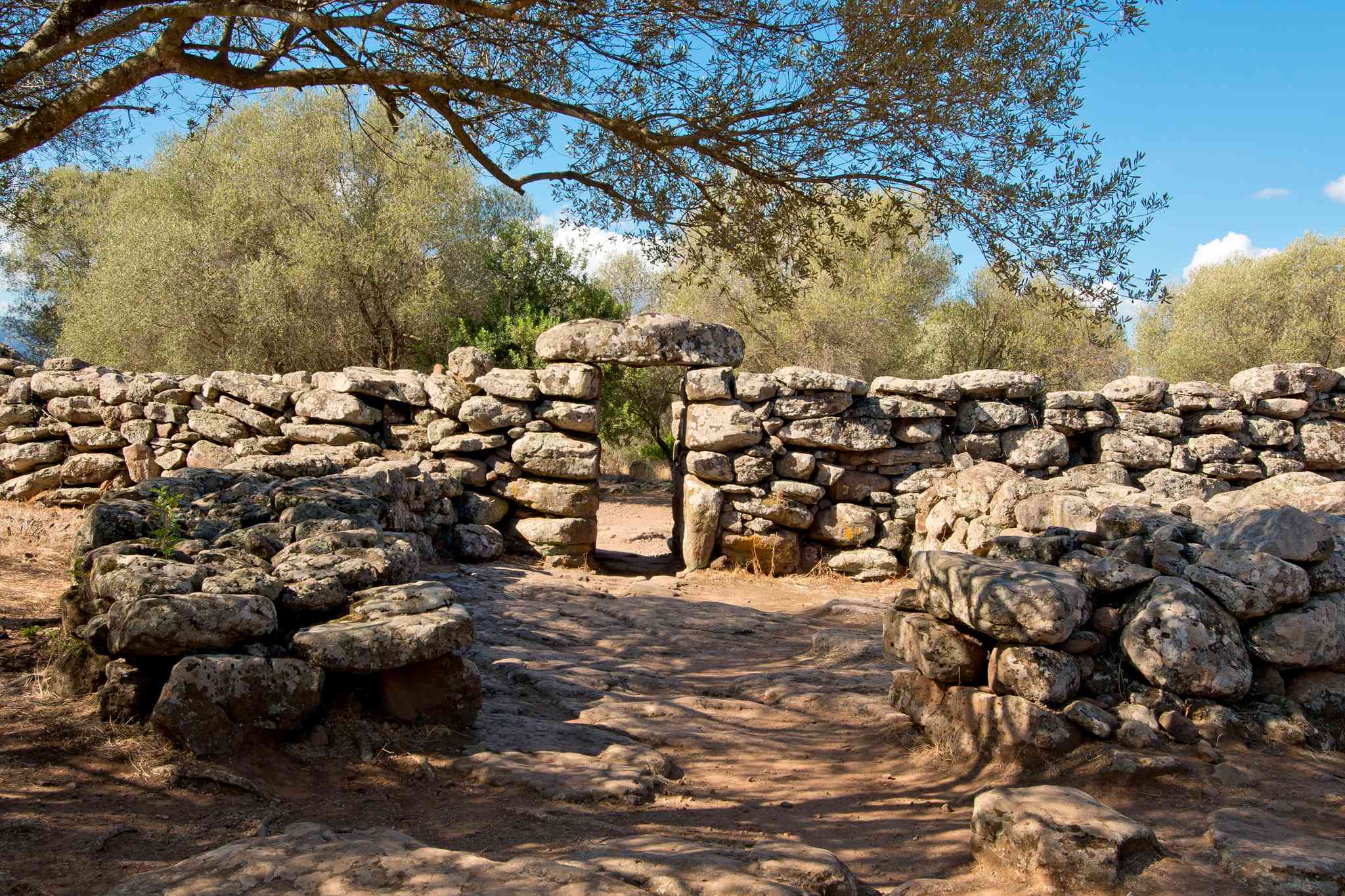 Blick auf die Landschaft von Dorgali - private Tagesreise von Olbia - Foto 2