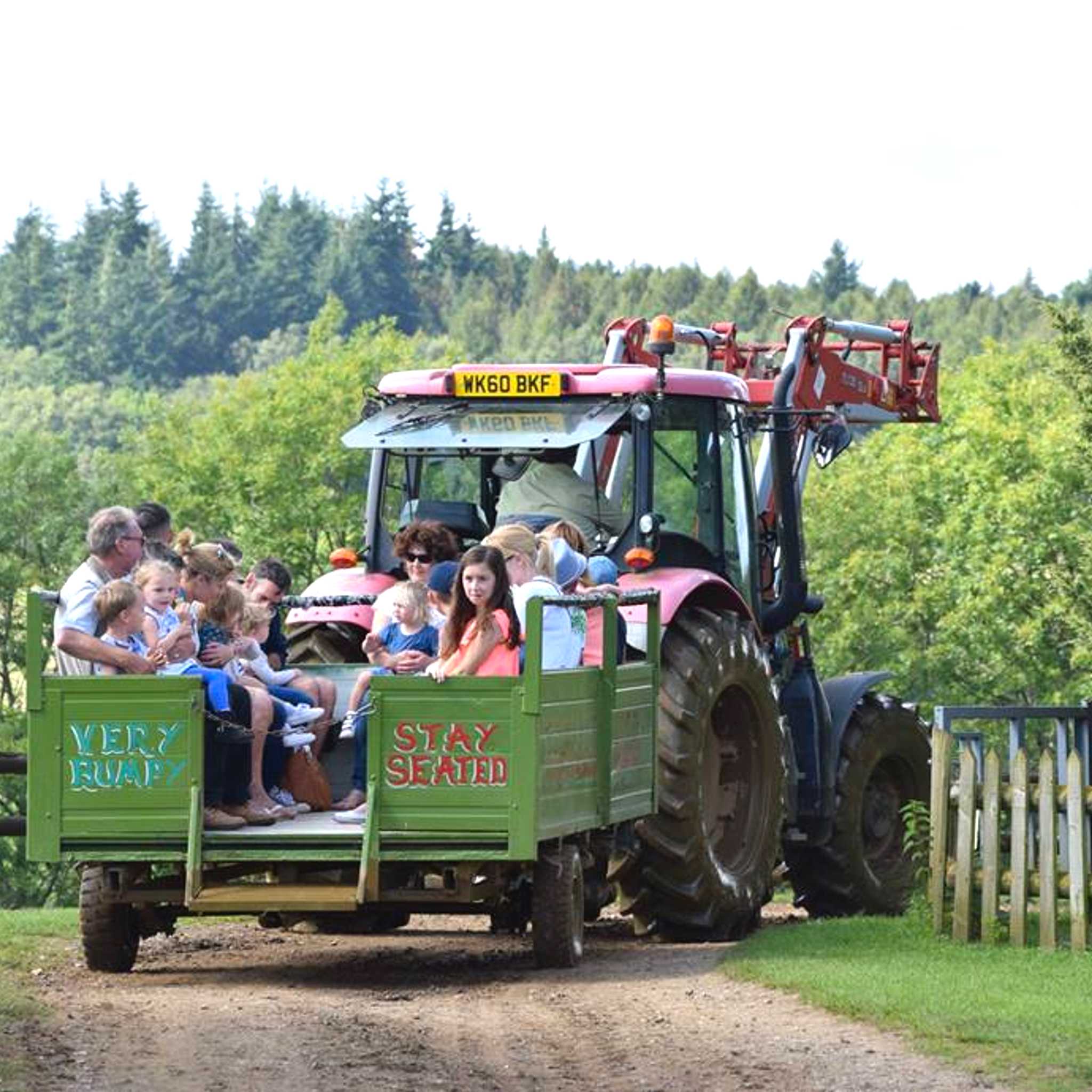 Dorset Heavy Horse Farm Park