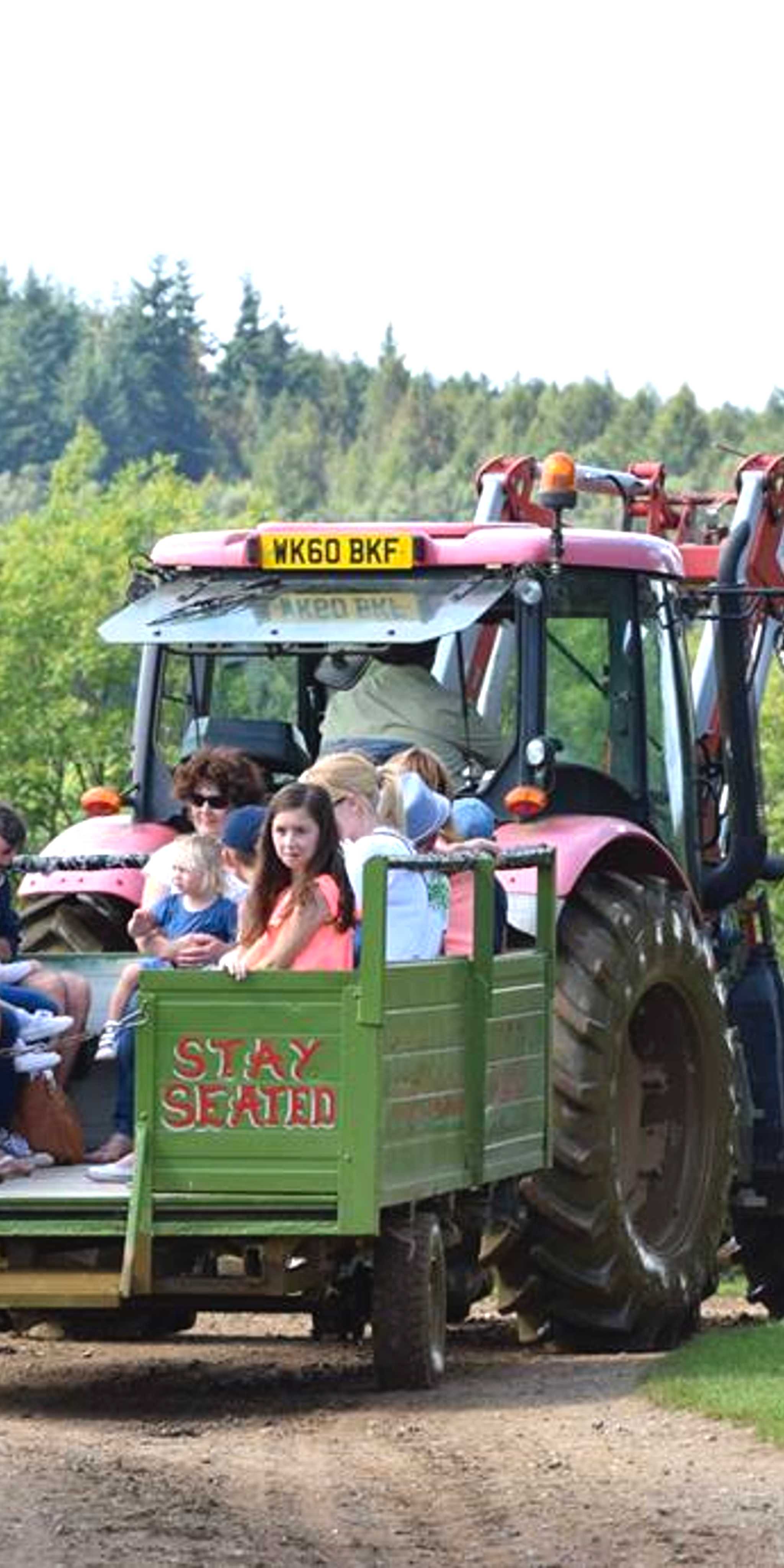 多塞特重马农场公园