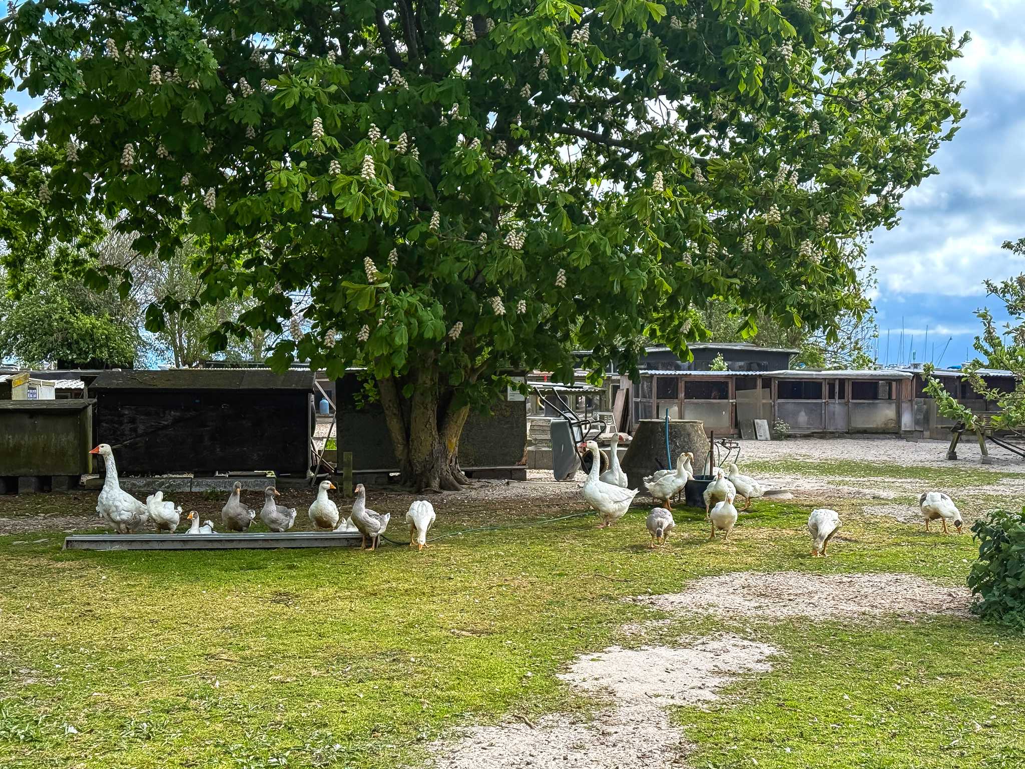 Private day trip option from Copenhagen