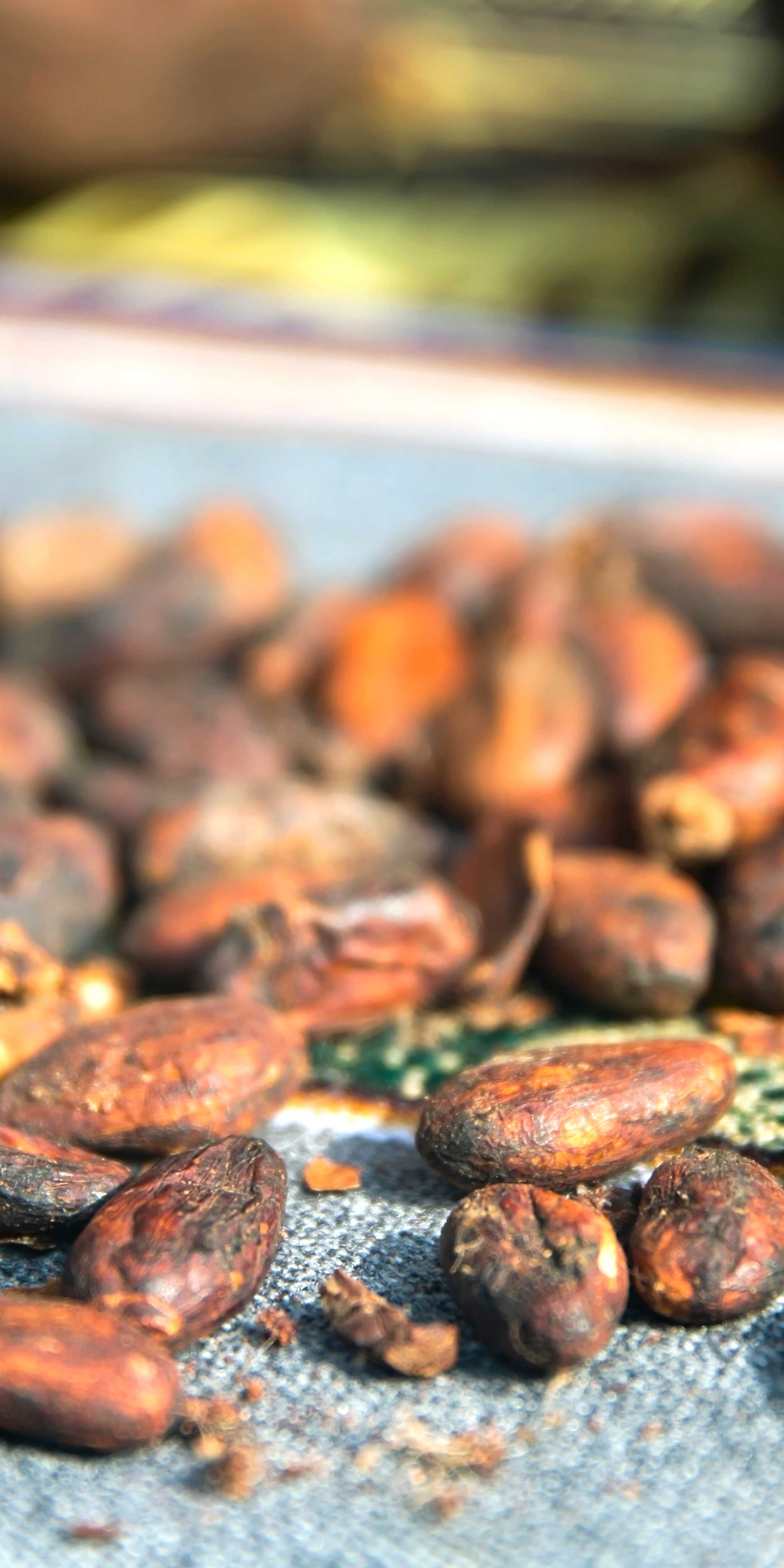 DRUPA Interactive Chocolate Museum