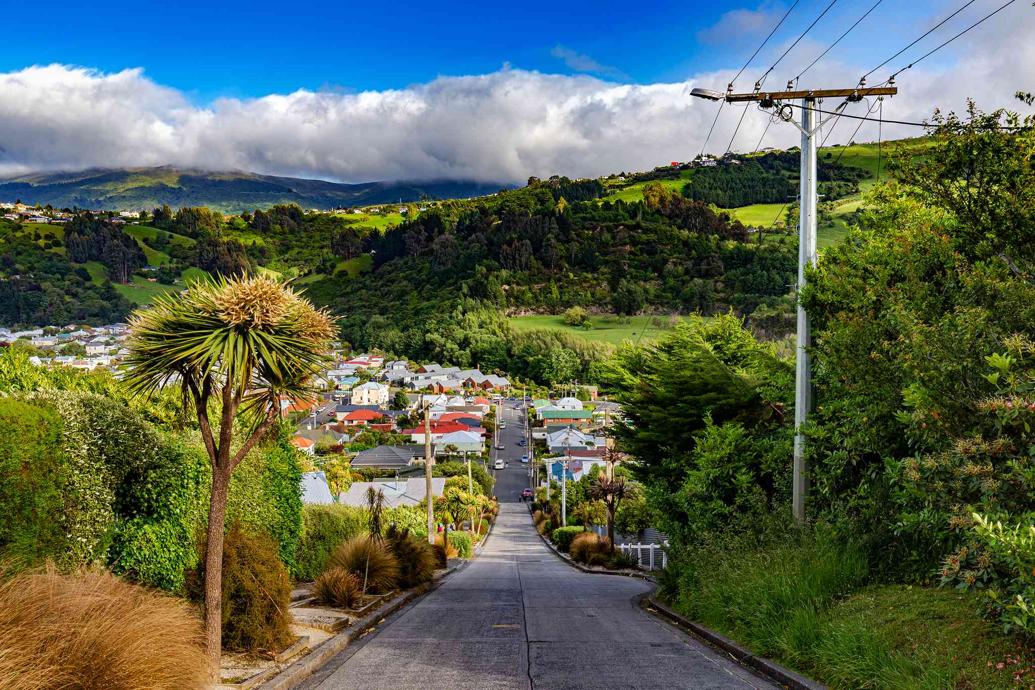 Blick auf die Landschaft von Dunedin - private Tagesreise von Christchurch - Foto 3