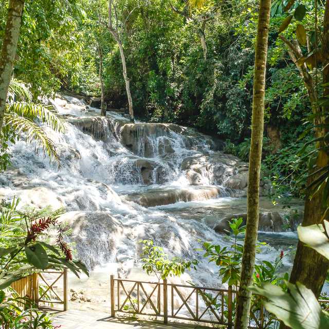 Montego Bay to Dunn's River and Fish Dunn Falls: Day trip