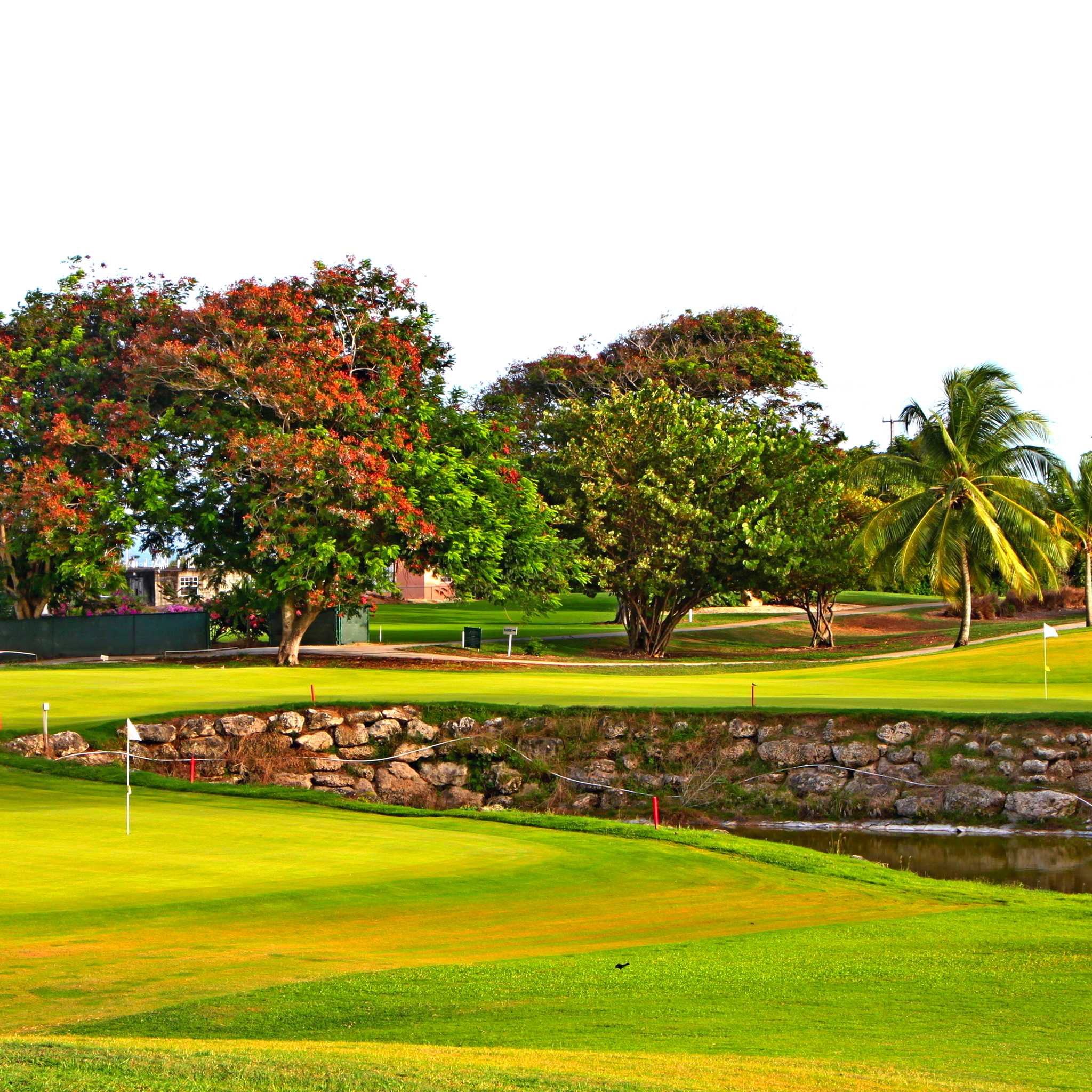 Private car transfers in Barbados from Durants