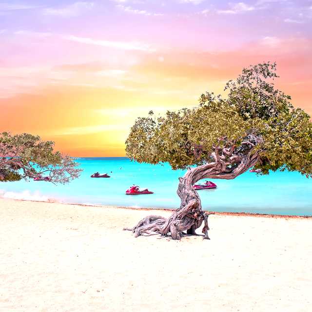 Oranjestad to Eagle Beach and Palm Beach: Private day trip